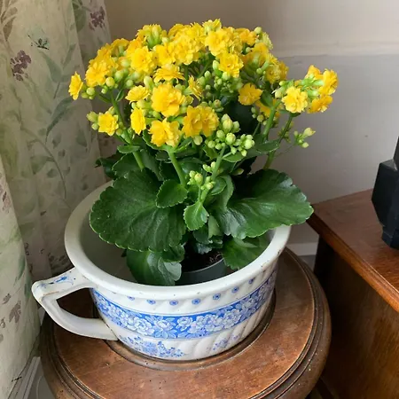 La Petite Maison, Perrou, Normandy, Orne * Perrou