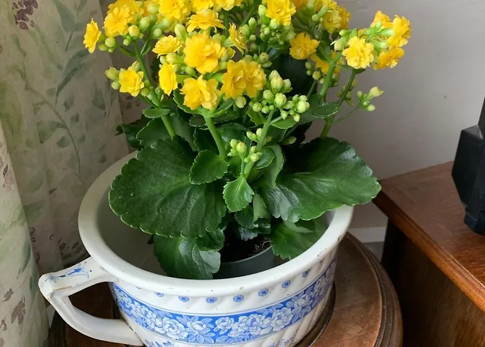 La Petite Maison, Perrou, Normandy, Orne * Perrou